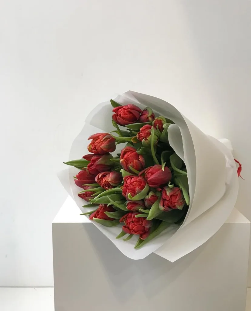 Red Energy — folia.flowers, kwiaciarnia Warszawa