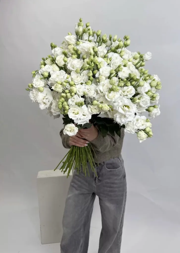 Ivory Cloud (2)