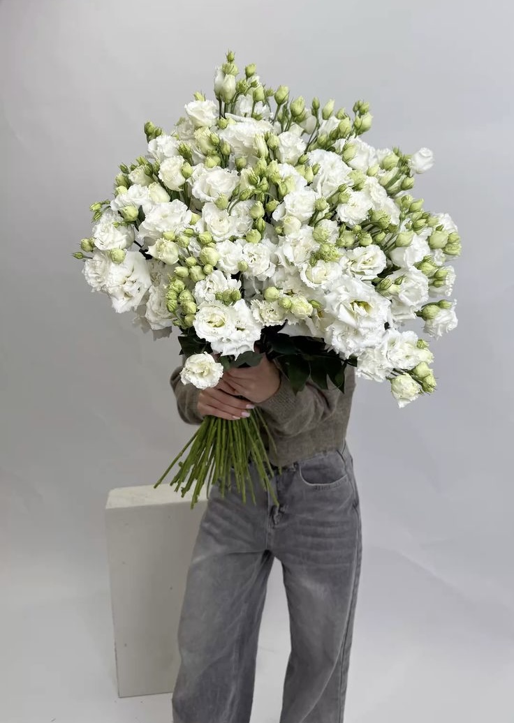 Ivory Cloud - obrazek 2