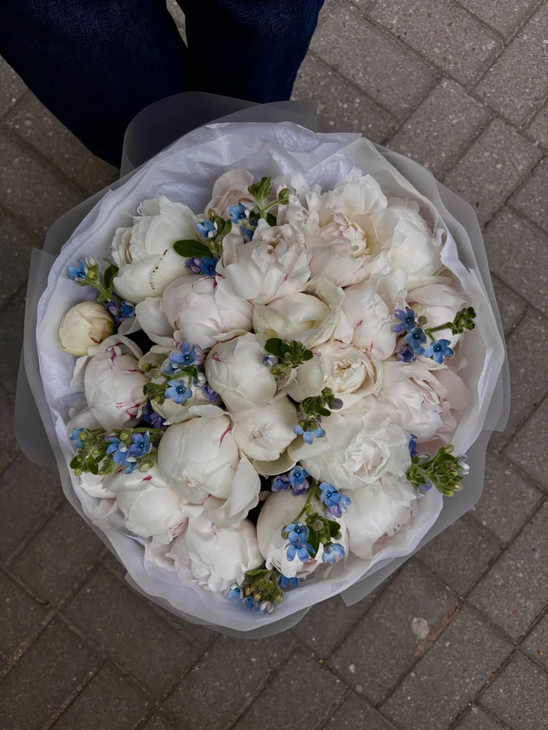 Півонієва хмаринка (2)