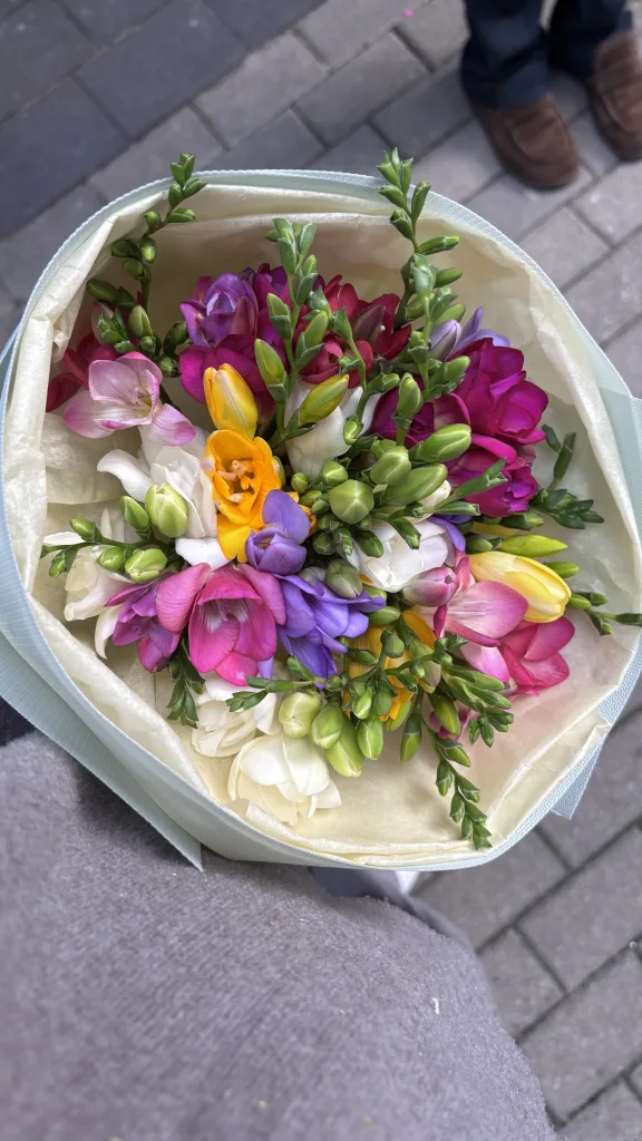 Mix kolorowych frezji — folia.flowers, kwiaciarnia Warszawa