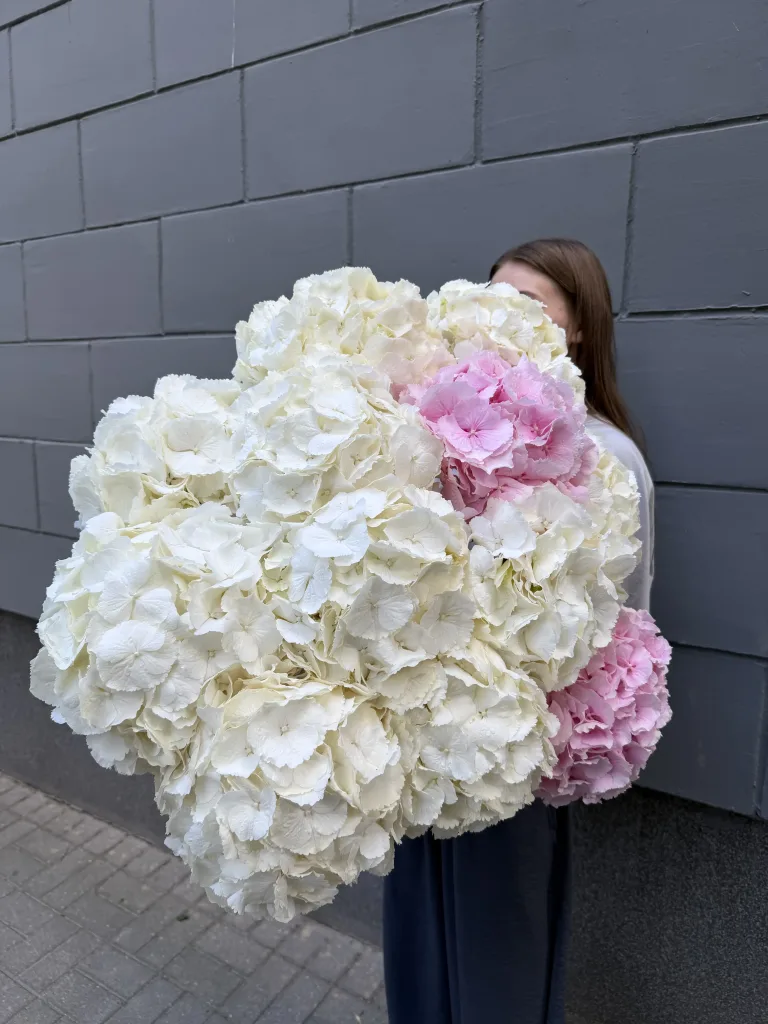 Monobukiet z hortensji — folia.flowers, kwiaciarnia Warszawa