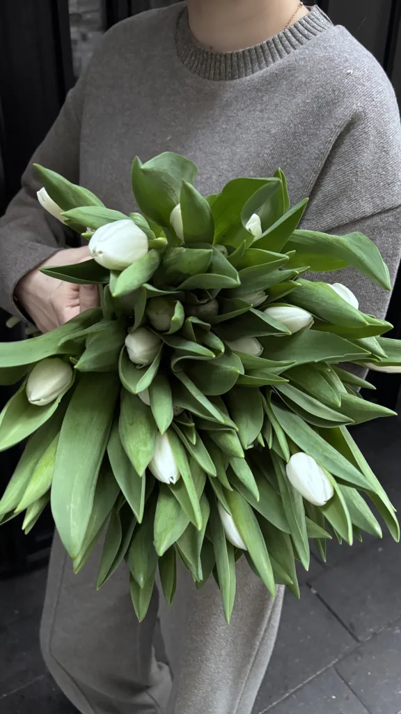 Ramo monofloral de tulipanes blancos — folia.flowers, floristería en Varsovia